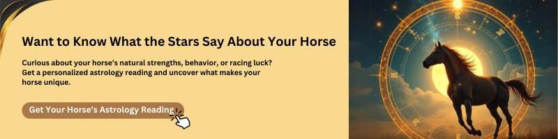 Contact us for horse astrology
