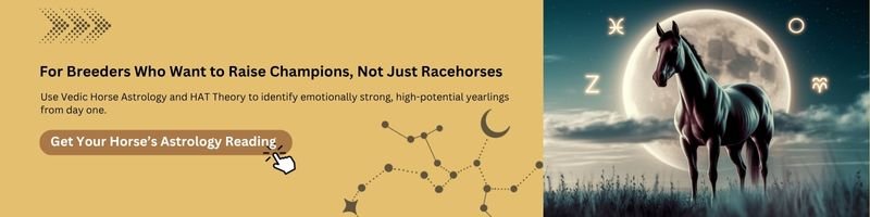contact us for horse astrology reading