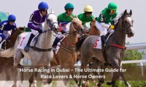 Horse Racing in Dubai – The Ultimate Guide for Race Lovers & Horse Owners