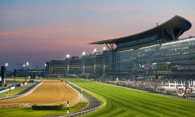 meydan racecourse dubai
