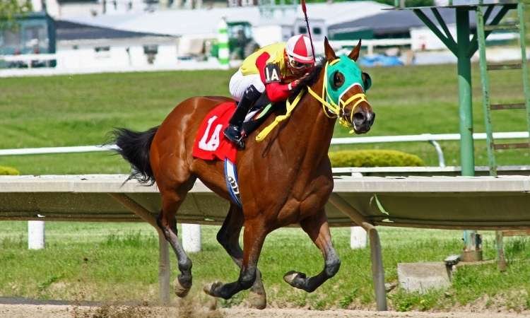 Racing horse bone strength