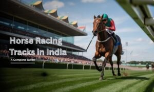 The 5 Best Horse Racing Tracks in India & How to Choose Your Next Derby Winner