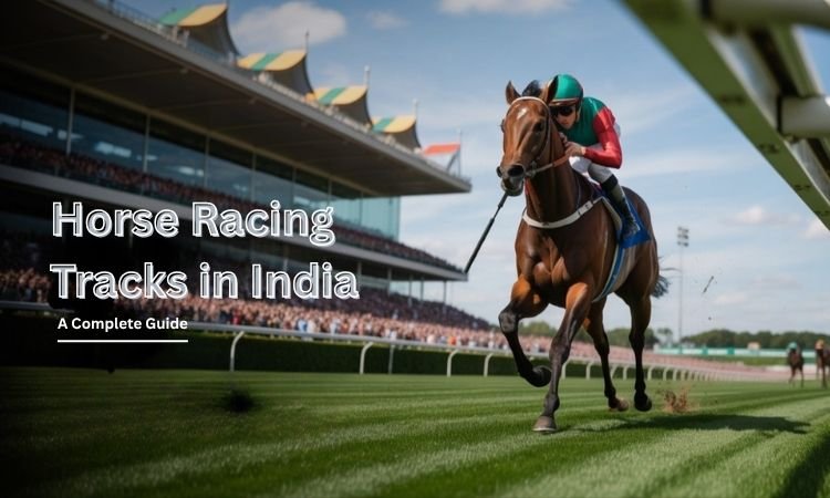 Horse Racing Tracks in India